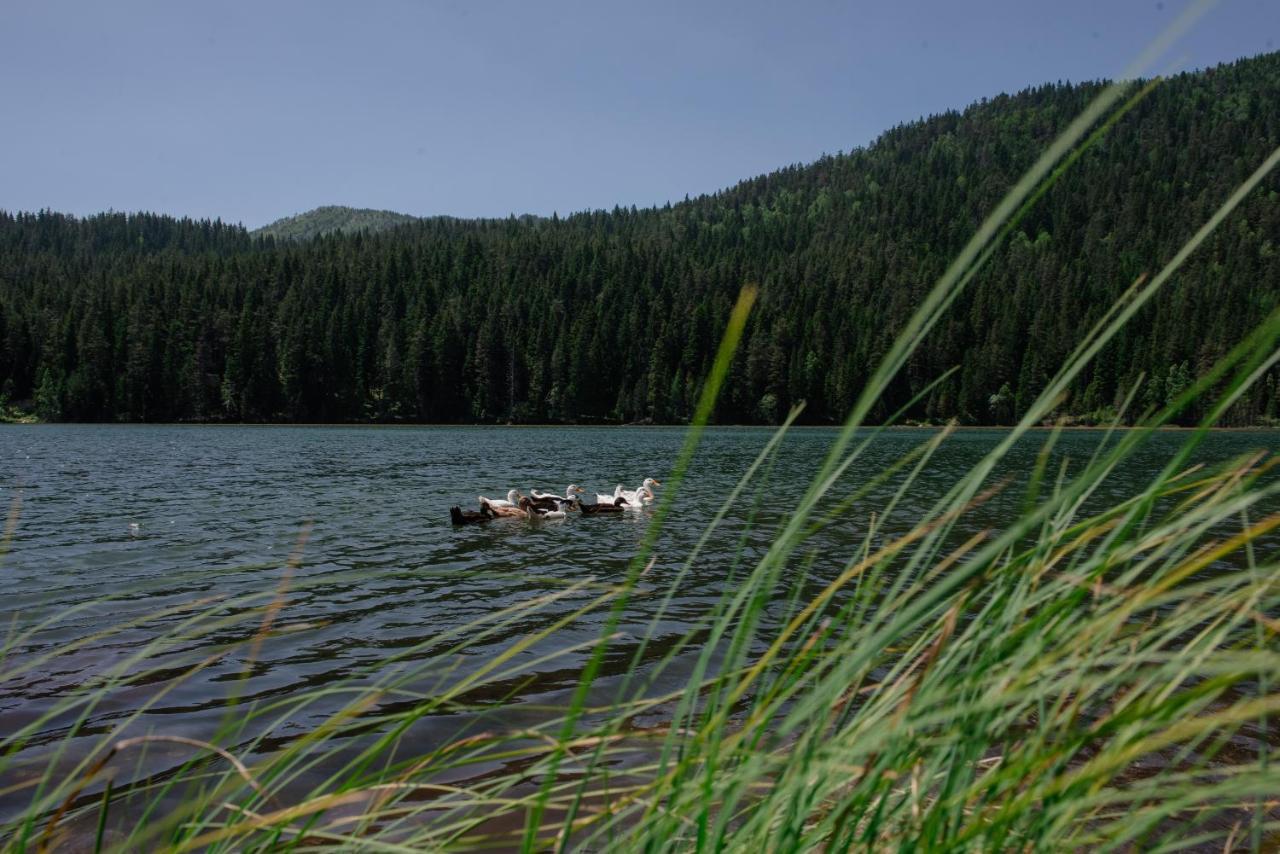 Hotel Etno Selo Zminica Žabljak Exteriér fotografie